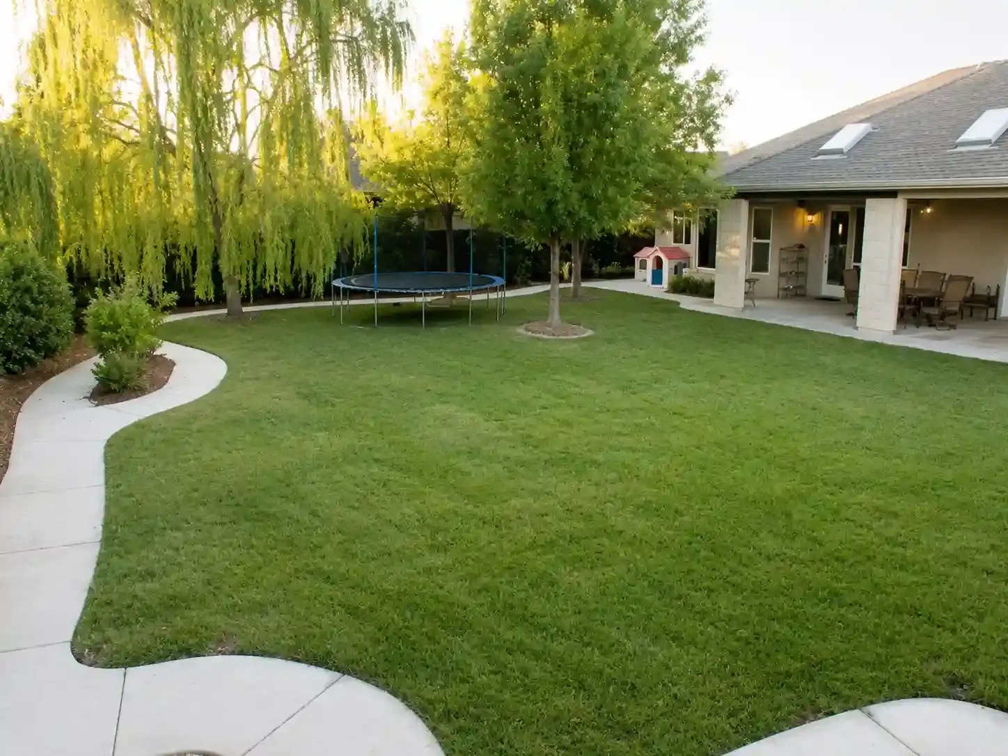 A clear and full-view photo of the backyard garden